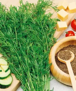 Тмин Золотая россыпь