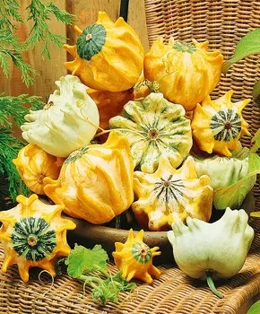 Тыква декоративная Набор Корона