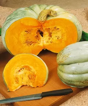 Тыква Лёжкая F1