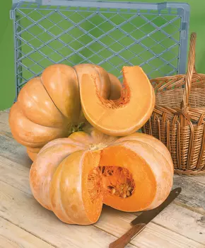 Тыква Мускатная Прованская F1