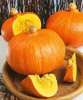 Тыква Оранж Саммер F1