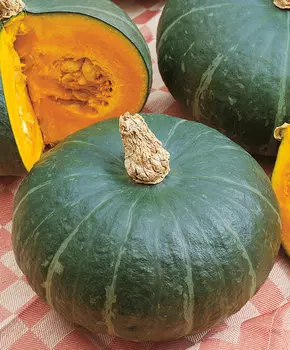 Тыква Свит мама F1