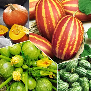 Удивительный набор Галилео