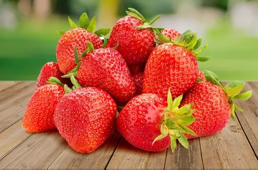 Земляника ремонтантная Белтран F1