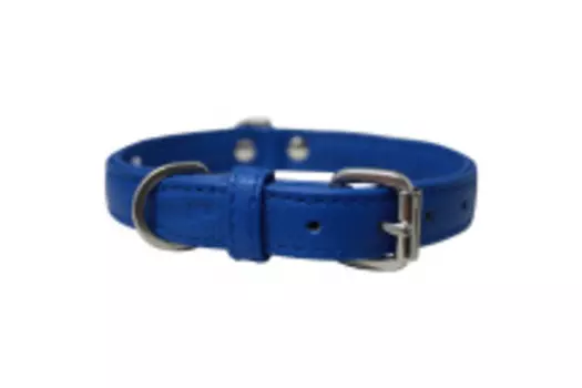 ANGEL Ошейник для собак "Alpine", голубой, 65х3см (Канада)!