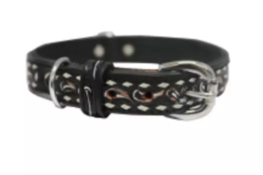 ANGEL Ошейник для собак "Laredo", черный, 56х4см (Канада)!