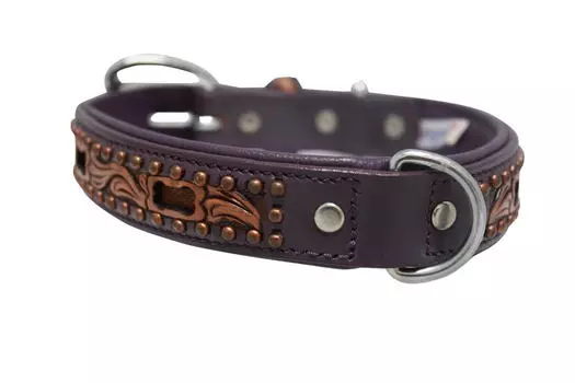 ANGEL Ошейник для собак "San Antonio", фиолетовый, 61х4см