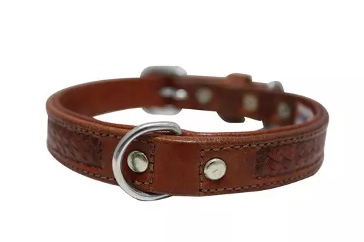 ANGEL Ошейник для собак "Santa Fe", коричневый, 56х4см (Канада)!