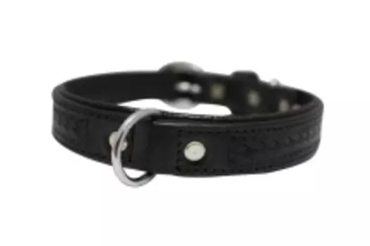 ANGEL Ошейник для собак "Santa Fe", черный, 61х4см (Канада)!