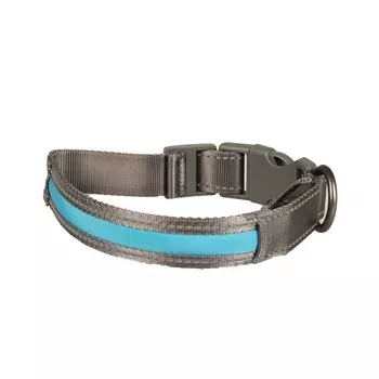 DUVO+ Ошейник для собак светящийся, 45-63см/25мм, нейлон, серо-голубой (Бельгия)