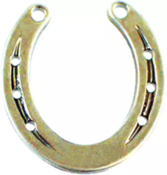 HappyROSS Значок металлический "Подкова", 20х20мм, серебристый (Германия)