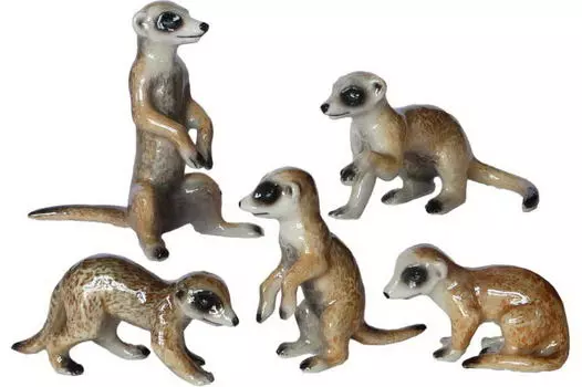 KLIMA Сурикат (L965), 3-7см (Франция)