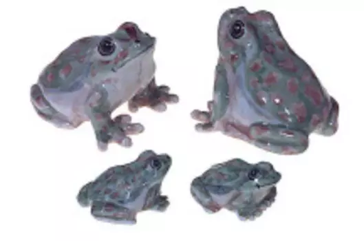 KLIMA Лягушка зеленая с крапинками, 2-3см (Франция)