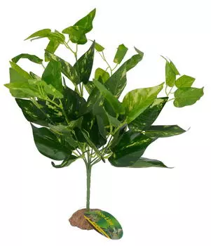LUCKY REPTILE Декорация для террариума "Scindapsus green", 40см (Германия)