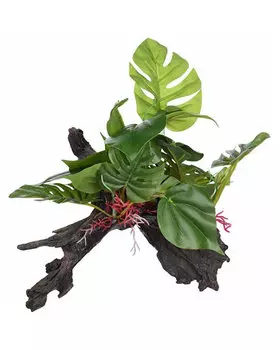 LUCKY REPTILE Декорация для террариумов "Forest", 28.5x27x23.5 см (Германия)!