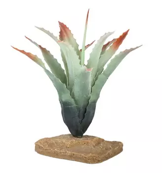 LUCKY REPTILE Декоративное растение для террариума "Tillandsia", 20см (Германия)!