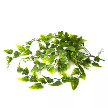 LUCKY REPTILE Декоративное растение для террариумов "Philo", 60см (Германия)