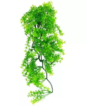 LUCKY REPTILE Декоративное растение для террариумов "Turtle Plant Ceratopteris", 40см (Германия)