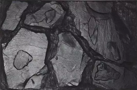 LUCKY REPTILE Фон "Altamira", 98x48см (Германия)!