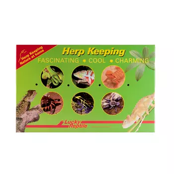 LUCKY REPTILE Коробка для транспортировки рептилий, 27x9x17cм (Германия)