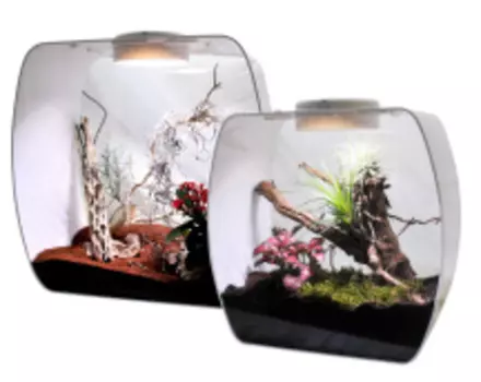 LUCKY REPTILE Террариум "Life Box", белый, 35х20х35см (Германия)