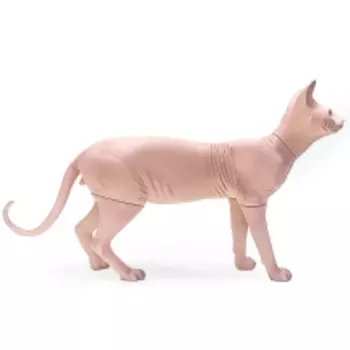 Манекен кошки AFELLOW "Сфинкс", розовый, 55х10.5х29.6см