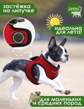 PUPPIA Шлейка для собак "Soft Vest", красная с чёрной окантовкой, XL (Южная Корея)