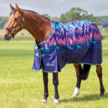 SHIRES HIGHLANDER Попона прогулочная для лошади "Original Lite", 600D, 0g, 155, синий лес (Великобри