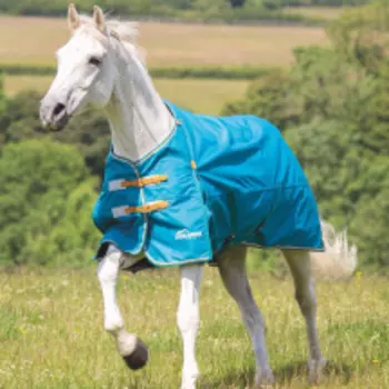 SHIRES HIGHLANDER Попона прогулочная для лошади "Original Lite", 600D, 0g, 165, чирок