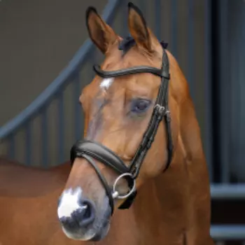 SHIRES LUSSIO Оголовье для лошади "Dressage", FULL, чёрный (Великобритания)