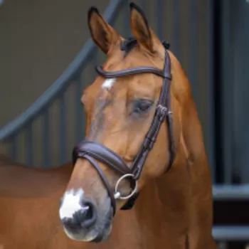 SHIRES LUSSIO Оголовье для лошади "Dressage", FULL, коричневый (Великобритания)