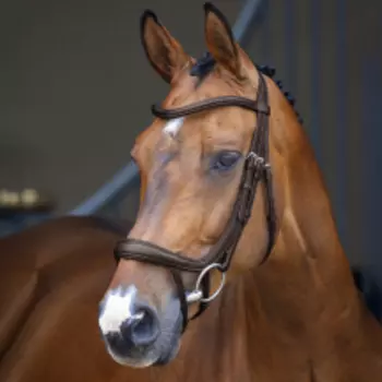 SHIRES LUSSIO Оголовье для лошади "Ergonomic", FULL, коричневый (Великобритания)