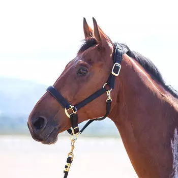 SHIRES Недоуздок для лошади "Topaz", COB, красный