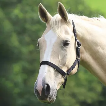 SHIRES Недоуздок для лошади "Wessex", SPONY, голубой/синий (Великобритания)!