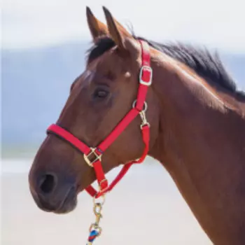 SHIRES Недоуздок для лошади "Topaz", FULL, красный (Великобритания)