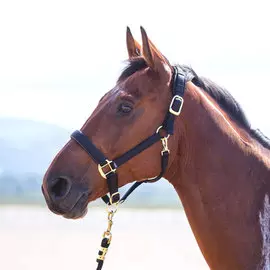 SHIRES Недоуздок для лошади "Topaz", FULL, синий (Великобритания)