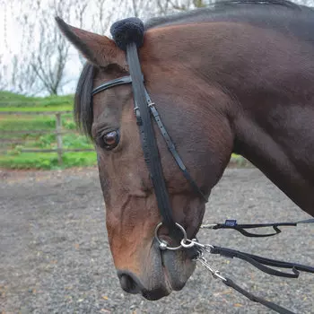 SHIRES Переходник для корды, чёрный (Великобритания)