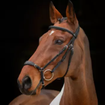 SHIRES RAPIDA Оголовье для лошади с ганноверским какпсюлем "Drop Noseband", FULL, чёрный (Великобрит