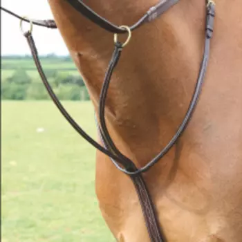 SHIRES SALISBURY Мартингал для лошади "Running", FULL, австралийский орех (Великобритания)