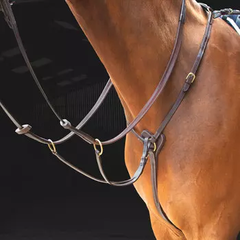 SHIRES SALISBURY Мартингал с подперсьем "Three Points", FULL, чёрный (Великобритания)