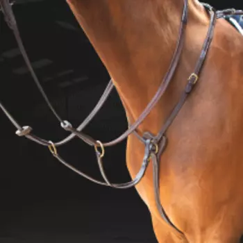 SHIRES SALISBURY Мартингал с подперсьем "Three Points", COB, чёрный (Великобритания)