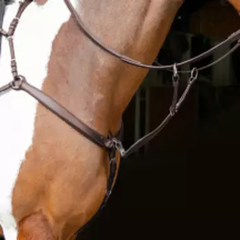 SHIRES Velociti Мартингал с подперсьем RAPIDA "Ergonomic", FULL, коричневый (Великобритания)