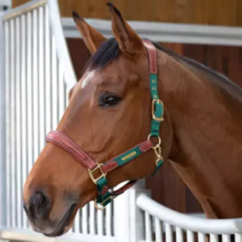 SHIRES Velociti Недоуздок для лошади кожаный LUSSO "Premium", FULL, зеленый (Великобритания)