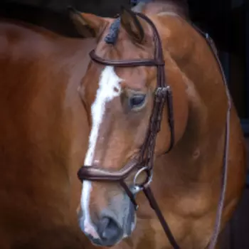 SHIRES Velociti Оголовье для лошади "Ergonomic", FULL, коричневый (Великобритания)