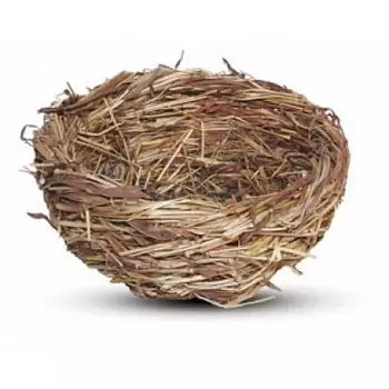 TRIOL Гнездо плоское с ветками д/птиц 120*55мм PT6185,