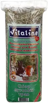 VITALINE Сено Сбор луговых трав д/грызунов 17л