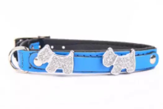 ZOOLESZCZ Ошейник для собак "Jewel", голубой, 40х1.4см