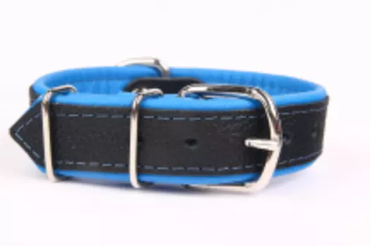 ZOOLESZCZ Ошейник для собак "Neo", черно-голубой, 45х3см