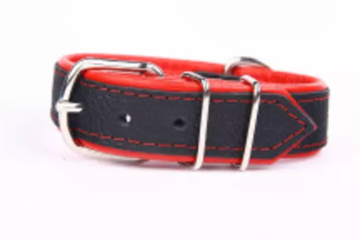 ZOOLESZCZ Ошейник для собак "Neo", черно-красный, 55х3см