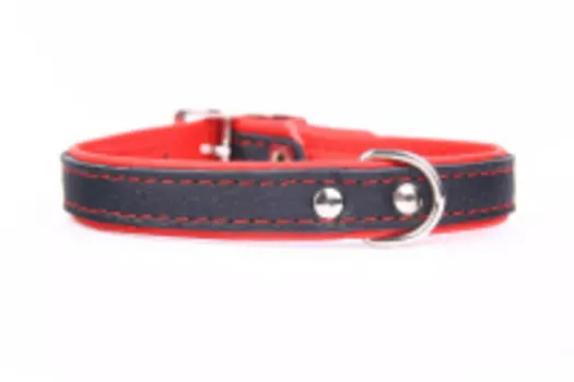 ZOOLESZCZ Ошейник для собак "Neo Elk", красный, 40х1.4см